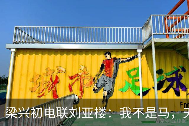 梁兴初电联刘亚楼：我不是马，天天吃豆子，刘：大胆，你骂谁？